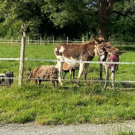 بيت للعطل Historique A La Campagne *