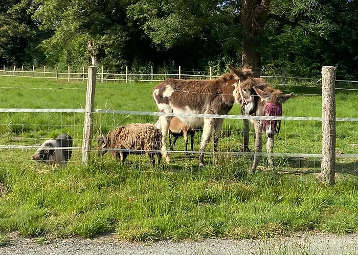 بيت للعطل Historique A La Campagne *